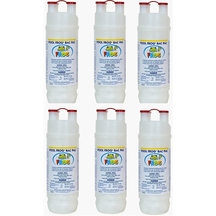 Frog - 01-03-5880-6PK - King Technology Pool Frog Mineral Purifier Replacement Chlorine Bac Pac - 6 Pack