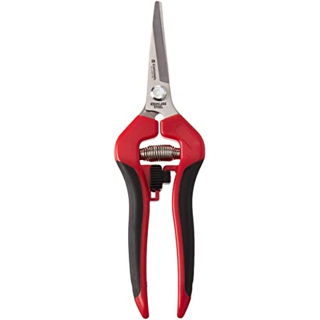Corona - AG 4980SS - Curved Grape Snips - Stainless Steel, 2 Inch