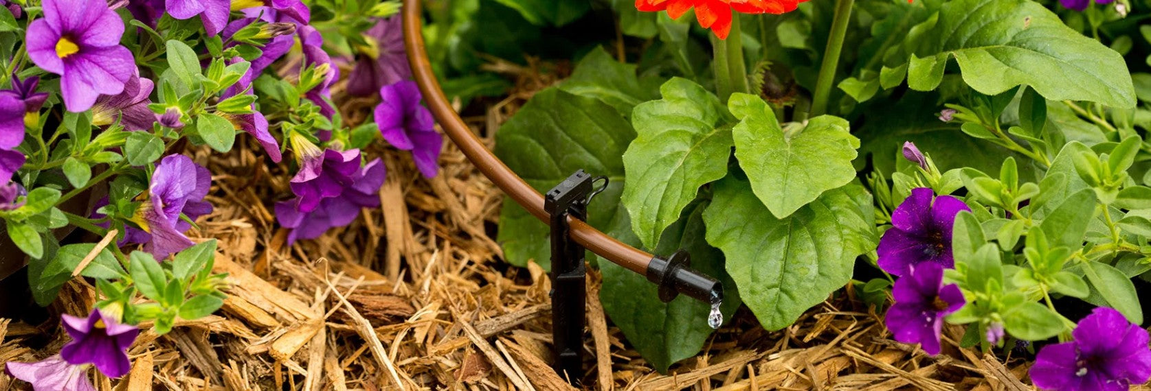 Troubleshooting Common Drip Irrigation Problems: Expert Tips
