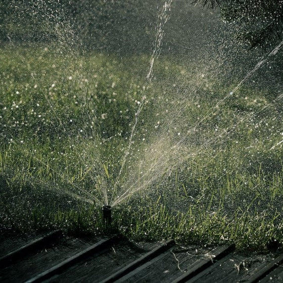 A Breakdown and Understanding of the Elements in a Sprinkler System