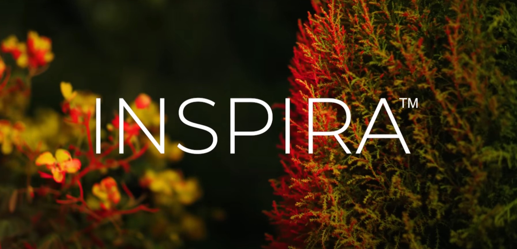Coming Soon! Inspired Innovation by Unique Lighting Systems. Introducing Inspira
