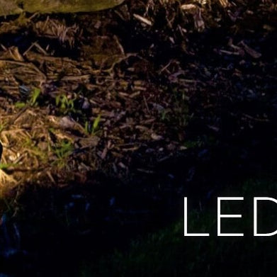 Discover the Hottest LED Bulbs for 12 Volt Landscape Lighting: Lighting Up Your Outdoor Spaces in Style!
