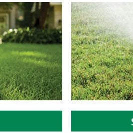 Spray Heads or Rotors: What is the Right Choice for My Lawn and Gardens?