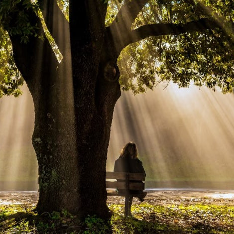 Shedding Light on the Best Products for Mounting Outdoor Downlighting