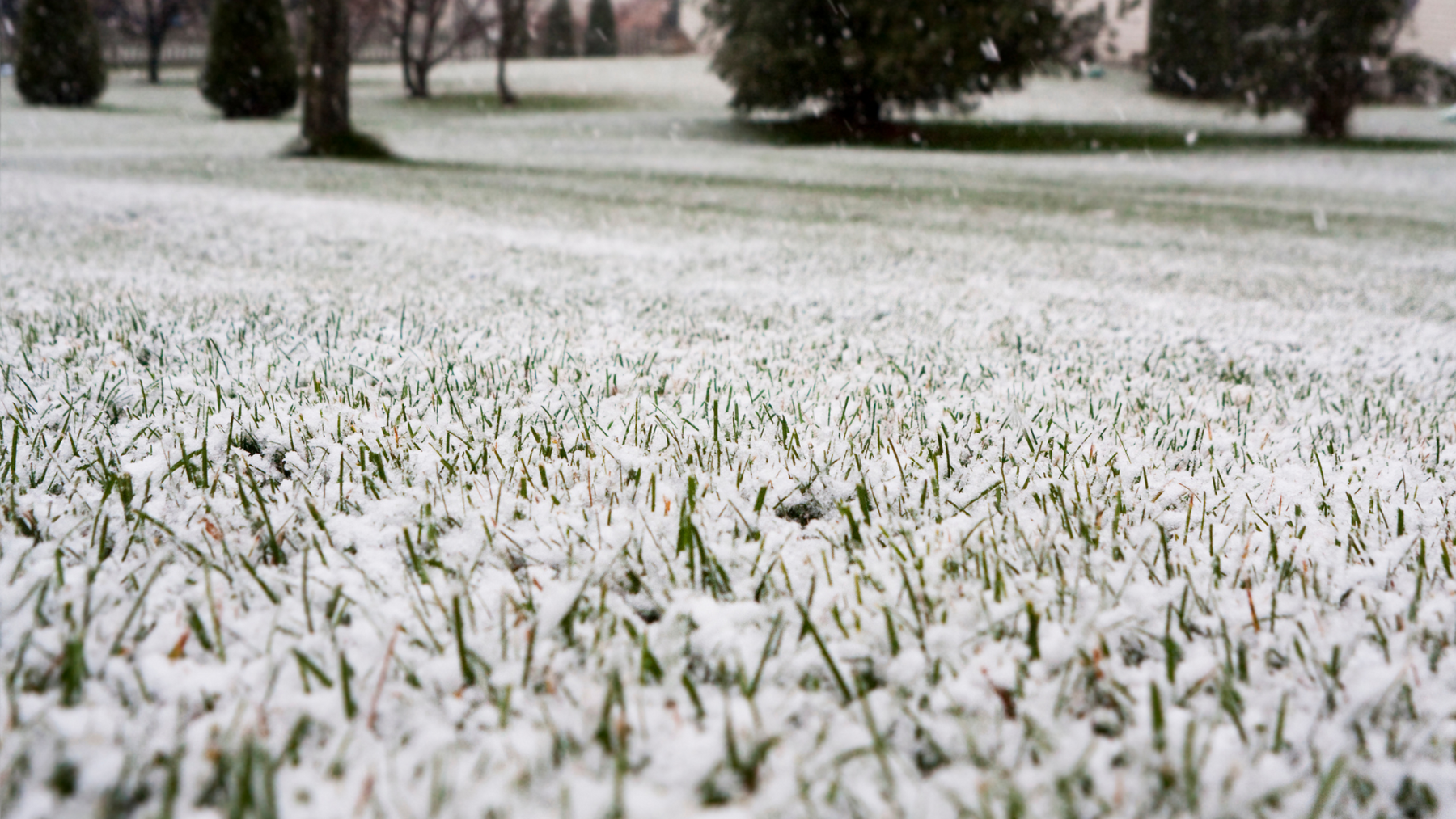 Be Ahead of the Game - Start Winterizing Your Sprinkler System Now!