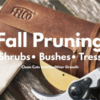 How to Prune Shrubs, Bushes & Trees (Pro Techniques) — Tools by Felco