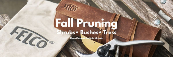 How to Prune Shrubs, Bushes & Trees (Pro Techniques) — Tools by Felco