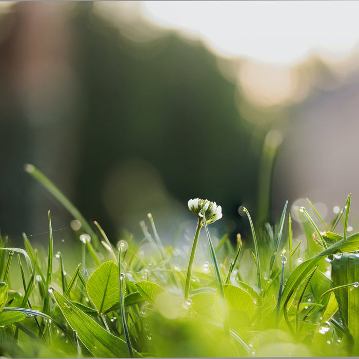 Overview of a Sprinkler System Install