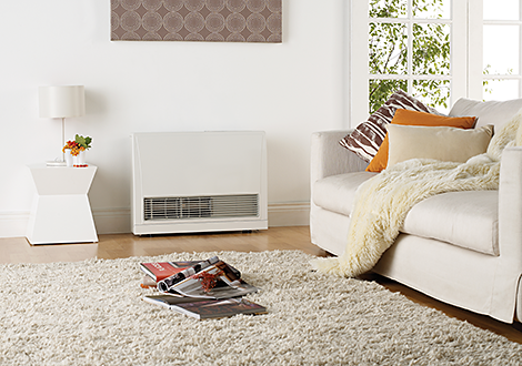 Rinnai Direct Vent Furnaces