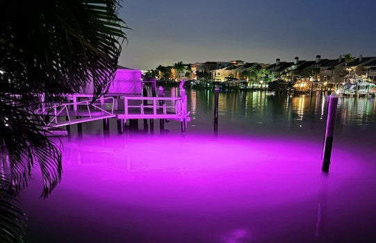 Purple Mega-Watt Underwater LED Lighting System (120 foot power cord)