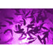 Incredible Underwater LED Lighting MW-P40 purple underwater LED lighting kit detail