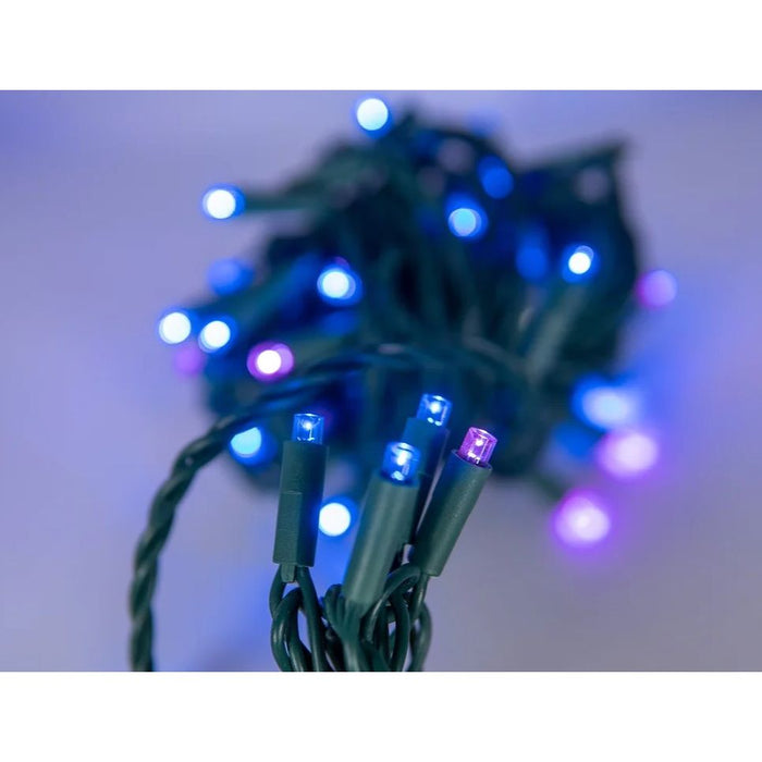 Seasonal Source - 220051 - 5MM 50L 3 Blue/ 1 Pink LED