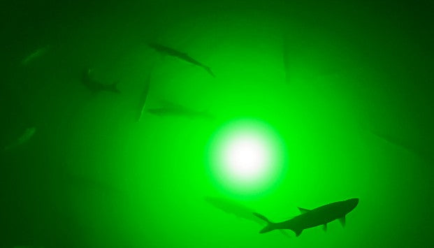 Green Apollo Underwater LED Lighting System (120 foot power cord)