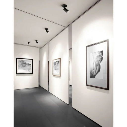 Art gallery with framed black and white artworks on white walls with black down lights mounted on ceiling