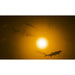 Incredible Underwater LED Lighting AP-O120 orange underwater LED lighting kit detail