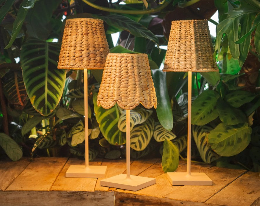 Three woven lampshades on wooden stands against a leafy green background