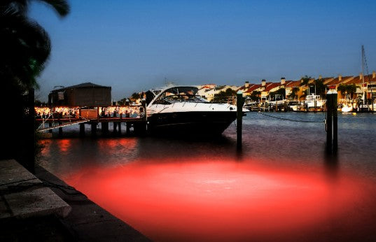 Red Mega-Watt Underwater LED Lighting System (40 foot power cord)