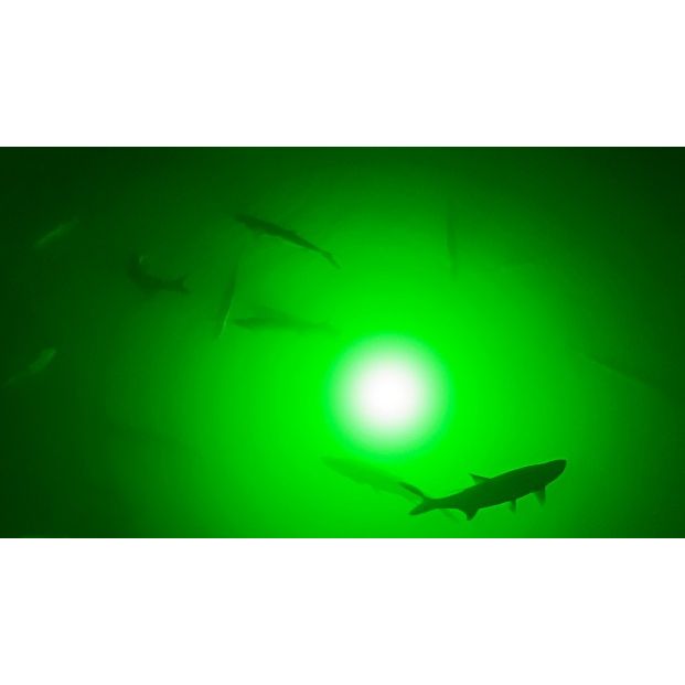 Green Apollo Underwater LED Lighting System (80 foot power cord)