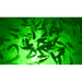 Incredible Underwater LED Lighting MW-G80 green underwater LED lighting kit detail