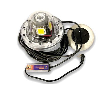White Apollo Underwater LED Lighting System (40 foot power cord)