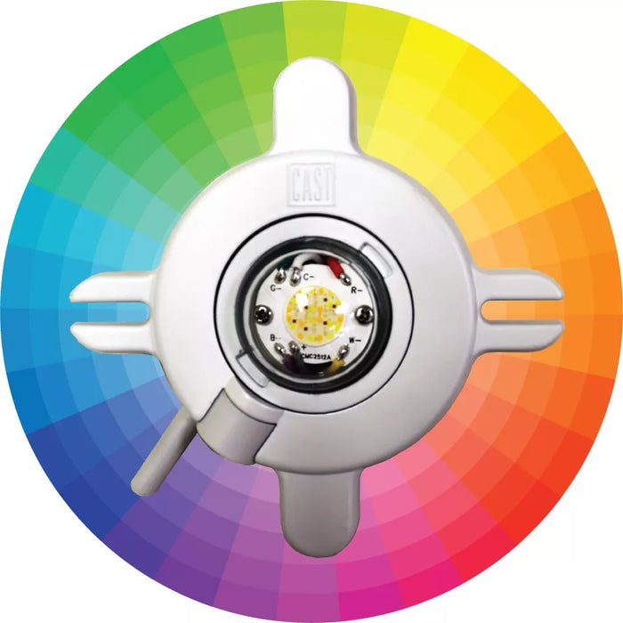 Cast Lighting Bluetooth Color Control Path Light LED Module - CAST Lighting CALED2BT