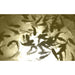 Incredible Underwater LED Lighting MW-W40 white underwater LED lighting kit detail