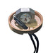 Cast Lighting LED REPLACEMENT Light Engine For CDL1LED1 - CAST Lighting CDL1MODLED