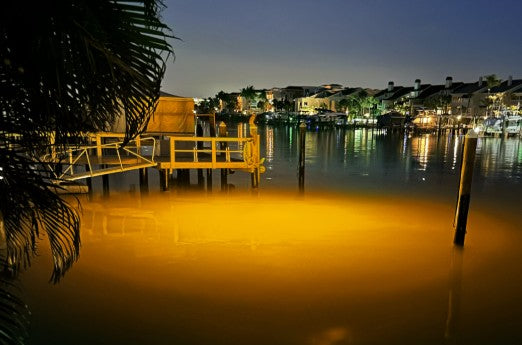 Orange Mega-Watt Underwater LED Lighting System (120 foot power cord)