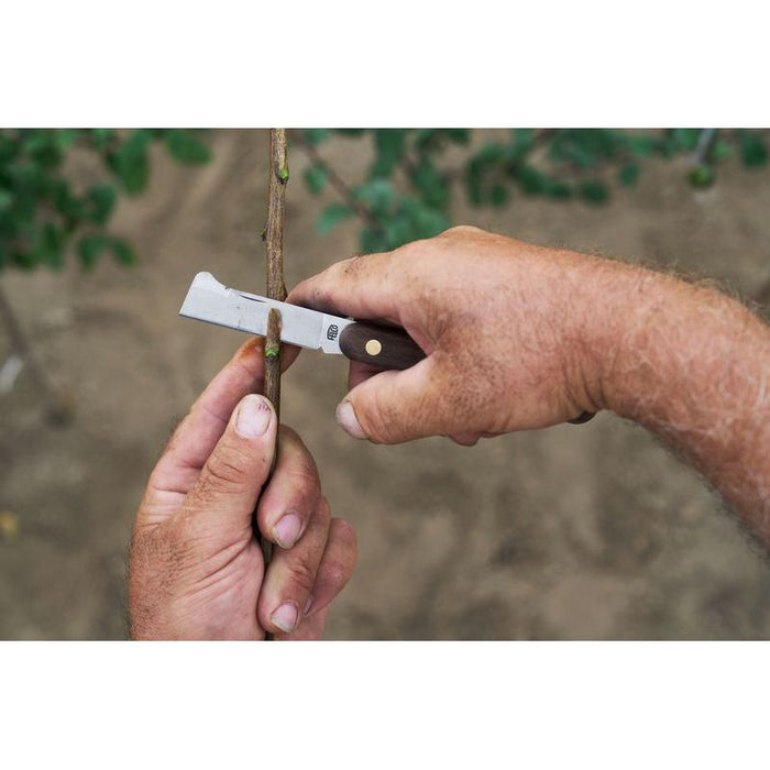 FELCO 512 Budding and Grafting Knife
