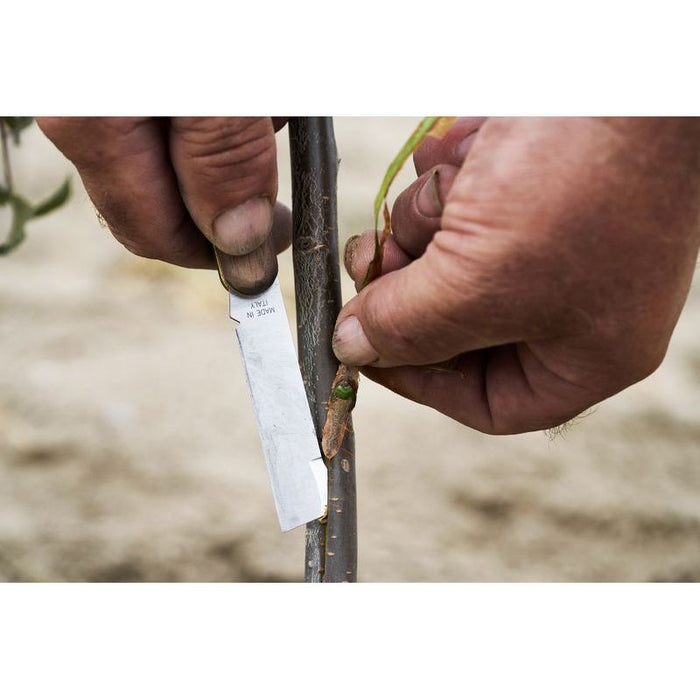 FELCO 512 Budding and Grafting Knife