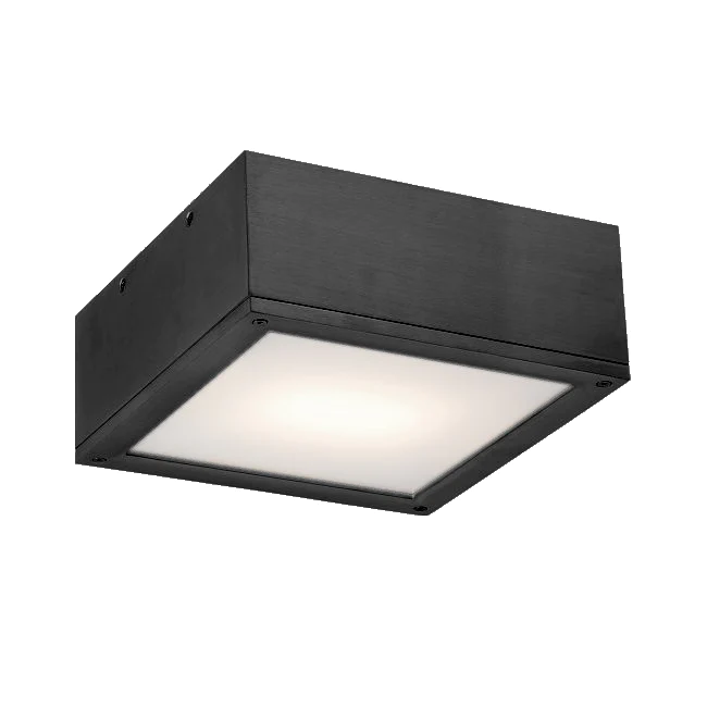 WAC Lighting - FM-W2510-BK - RUBIX CEILING MOUNT 30W BLACK