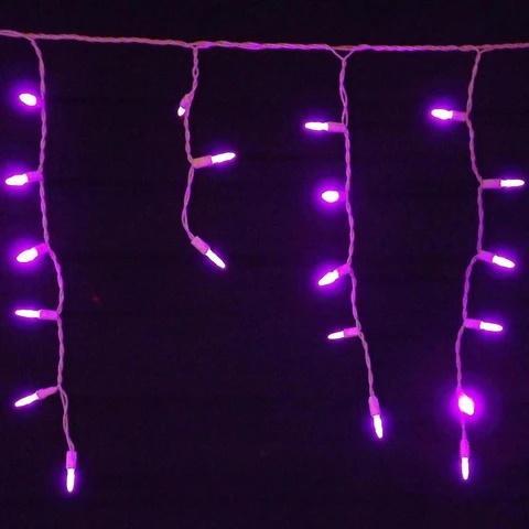 Seasonal Source 88612-R Purple Icicle Lights on White Wire, 70 Bulbs