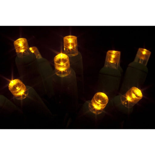 Seasonal Source - 70 5MM Gold LED Holiday Lights, 4" Spacing -  - Standard Strands  - Big Frog Supply