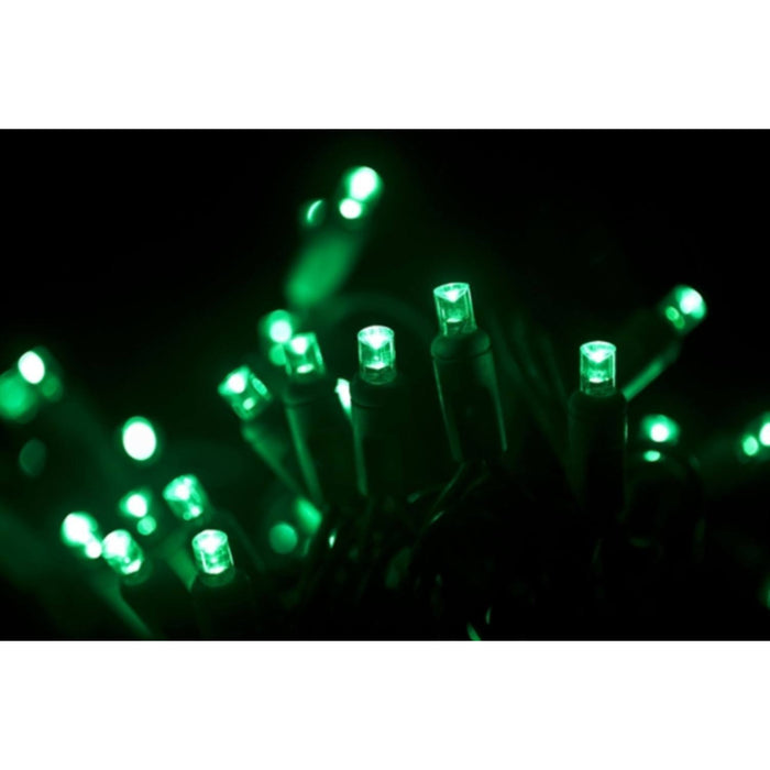 Seasonal Source - 70 5MM Green LED Holiday Lights, 4" Spacing -  - Standard Strands  - Big Frog Supply - 1