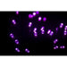 Seasonal Source - 70 5MM Purple LED Holiday Lights, 4" Spacing -  - Standard Strands  - Big Frog Supply