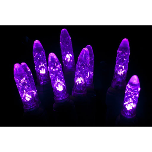 Seasonal Source - 70 M5 Purple LED Holiday Lights, 4" Spacing -  - Standard Strands  - Big Frog Supply