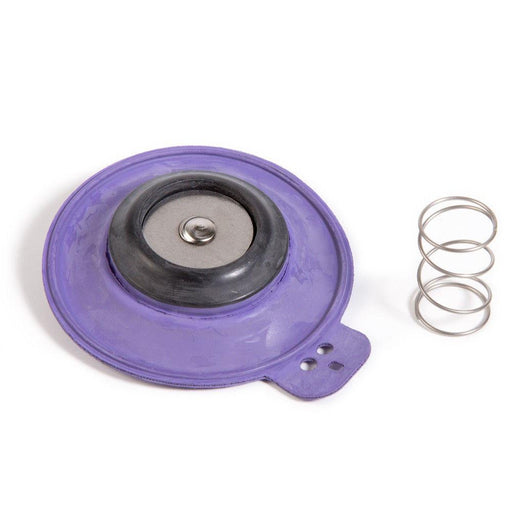 Rain Bird - DIAPH150EF - Diaphragm Repair Kit for 150 EFA & GB Valves -  - Irrigation  - Big Frog Supply