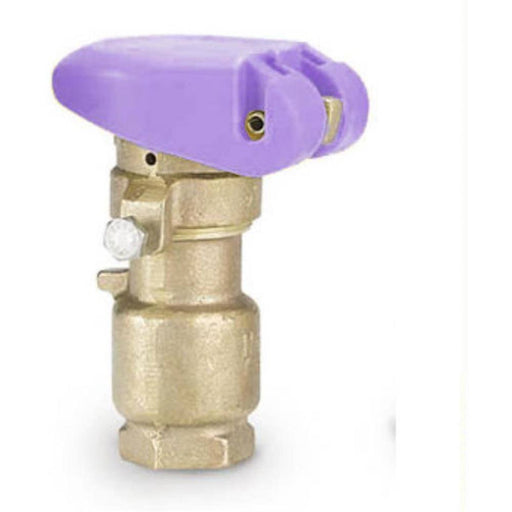 Rain bird - Non-Potable Valves with Purple Locking Cover -  - Irrigation  - Big Frog Supply - 1