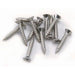 NDS - Stainless Steel 1 Inch Spee-D Channel Screws -  - Lawn and Garden  - Big Frog Supply