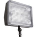 RAB Lighting - 39W PL Floodlight -  - Outdoor Lighting  - Big Frog Supply - 1